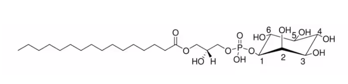 LysoPI(16:0/0:0) 1425501-12-7